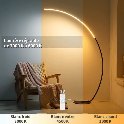 Lampadaire LED à température de couleur réglable de 3000 K à 6000 K