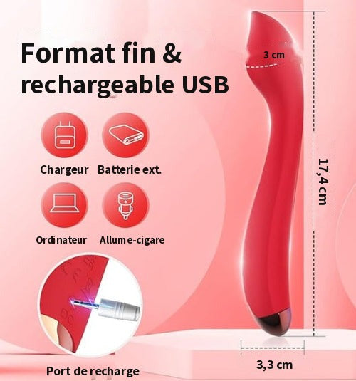 Dimensions du vibromasseur Pétale : 17,4 cm de long, 3,3 cm de diamètre, recharge USB